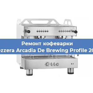 Замена прокладок на кофемашине Bezzera Arcadia De Brewing Profile 2GR в Самаре